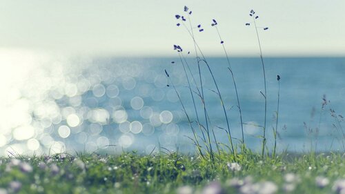 ﻿Spring Data 中文版本