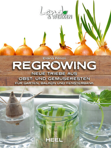 ﻿رشد مجدد - شاخه های جدید از بقایای میوه و سبزیجات: برای باغ، بالکن و طاقچه