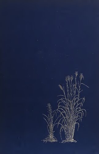 ﻿چهره آمریکای شمالی: تاریخ طبیعی یک قاره