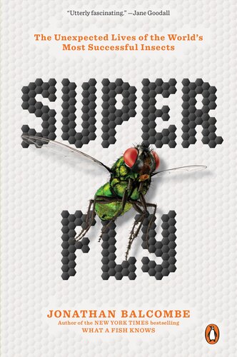 ﻿Super Fly: زندگی غیرمنتظره موفق ترین حشرات جهان