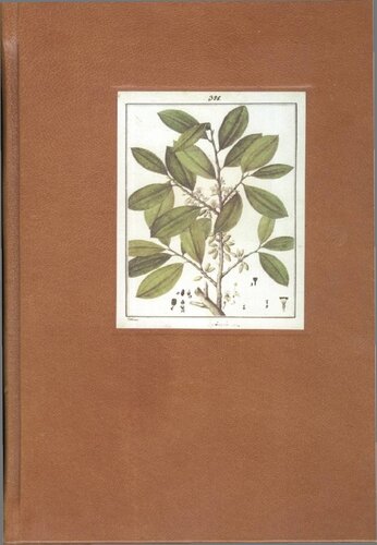 ﻿Snuffs Shamanic یا Erhines Enthogenic