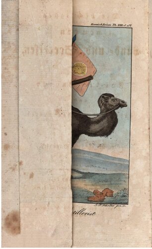 ﻿مهمترین سفرهای زمینی و دریایی مدرن