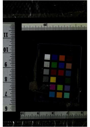 ﻿کلاس هایی که کار می کنند: همه آنها می توانند بخوانند و بنویسند