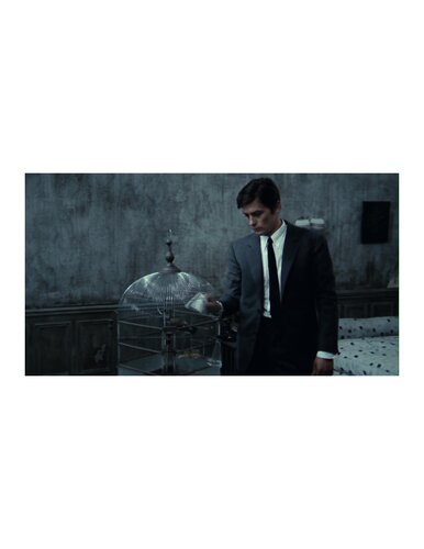 ﻿چوپان هارشوردان / کوتاه