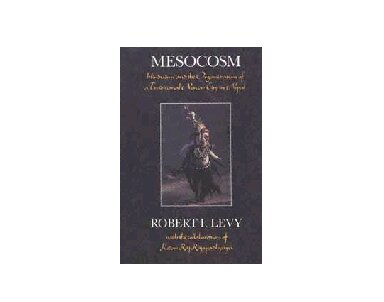 ﻿Mesocosm: هندوئیسم و ​​سازماندهی یک شهر سنتی نیوار در نپال