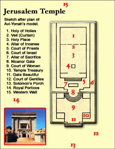﻿از سایه تا واقعیت - مطالعه ای در رابطه بین عهد عتیق و جدید (پیش چاپ)