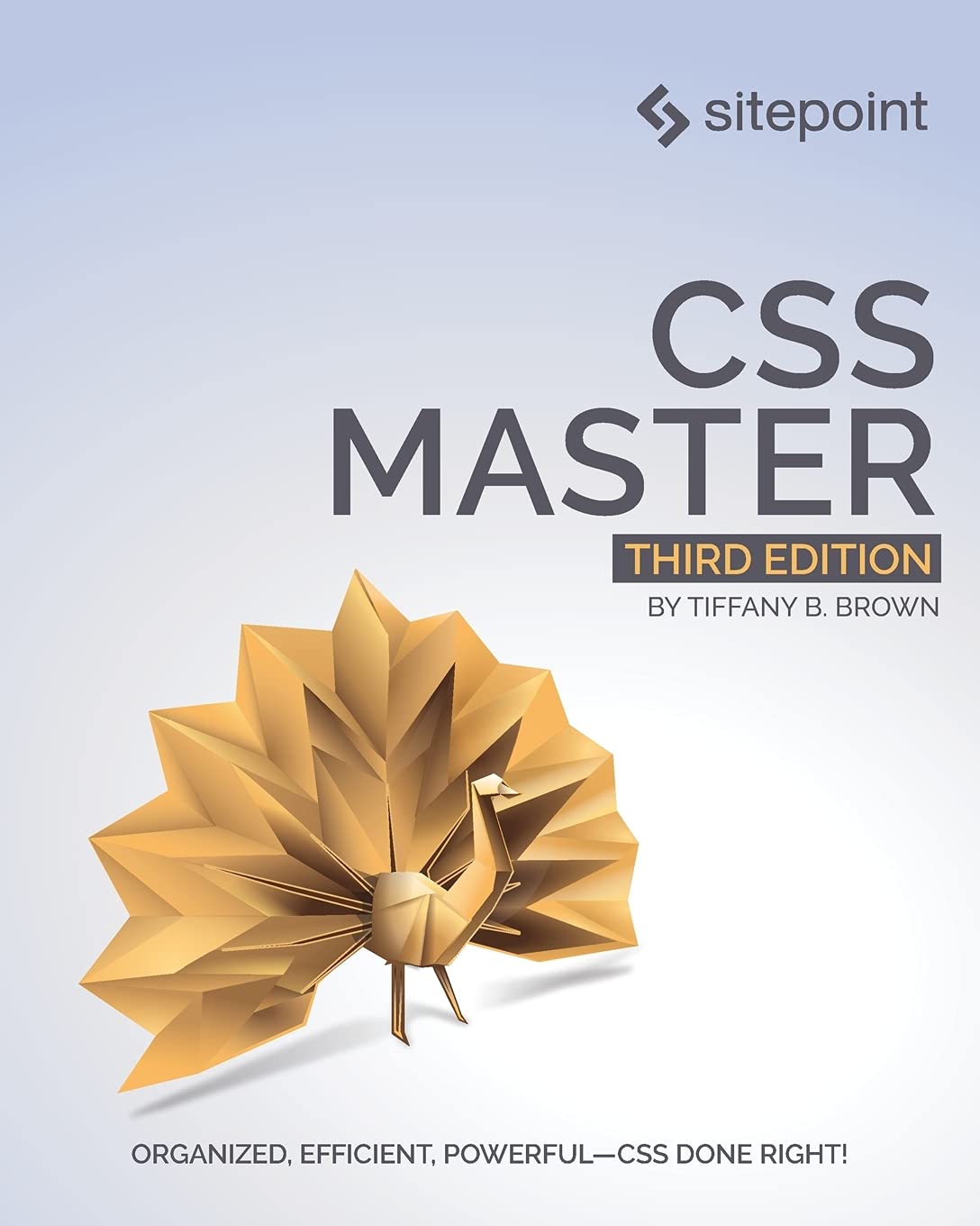 ﻿CSS Master 3e