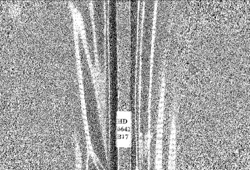 ﻿هویت طبقاتی در اتحادیه‌گرایی تاثیر آن بر کارخانه ها