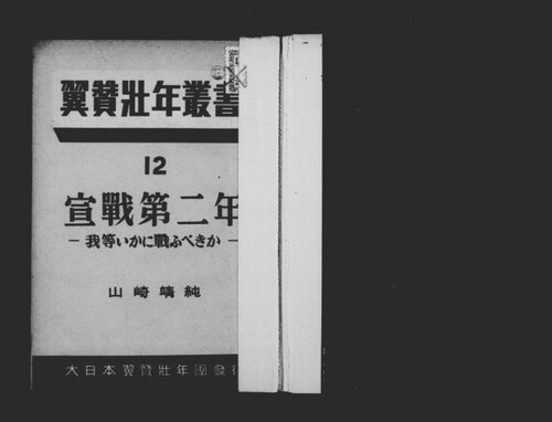 ﻿سال دوم اعلام جنگ: چگونه باید بجنگیم؟