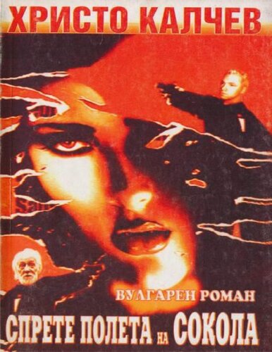 ﻿توقف پرواز شاهین (جلد 30)