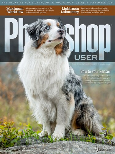 ﻿کاربر فتوشاپ سپتامبر