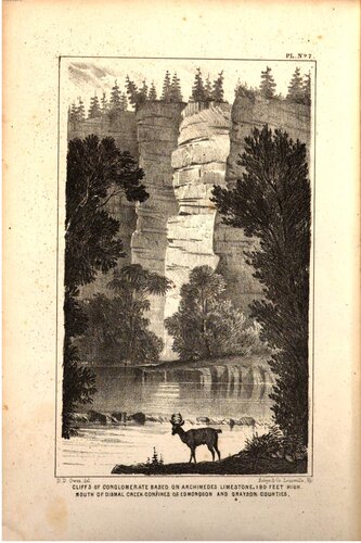 ﻿گزارش سازمان زمین شناسی کنتاکی در سال های 1854 و 1855