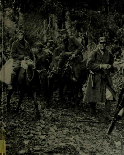 ﻿پارتیزان ها و چریک ها (جنگ جهانی دوم)