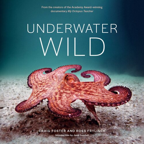 ﻿Underwater Wild: My Octopus Teacher's Extraordinary World