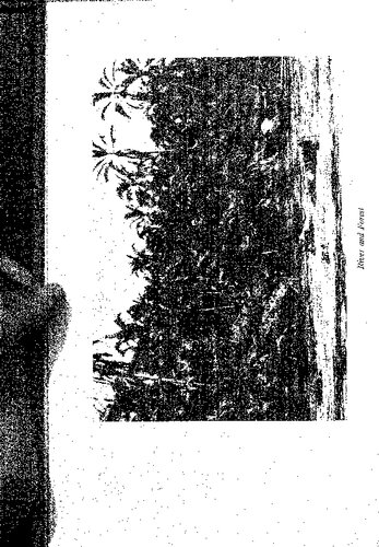 ﻿کنگو بلژیک: آوریل 1944