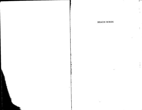 ﻿پرندگان ساحلی