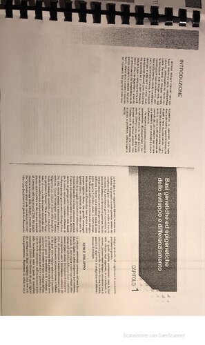 ﻿کتاب درسی زیست شناسی تکاملی حیوانات. فرآیندها، مراحل، مدل ها و مرزهای جدید