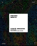 ﻿آمازون چیست. یک ترن هوایی