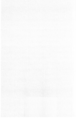 ﻿14 اوت تا 30 نوامبر 1925