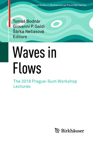 ﻿Waves in Flows سخنرانی های کارگاه پراگ-Sum 2018