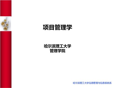 ﻿哈理工项目管理学 PMP 讲义