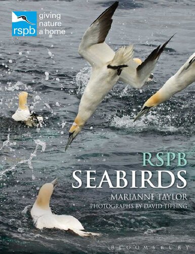 ﻿RSPB Seabirds