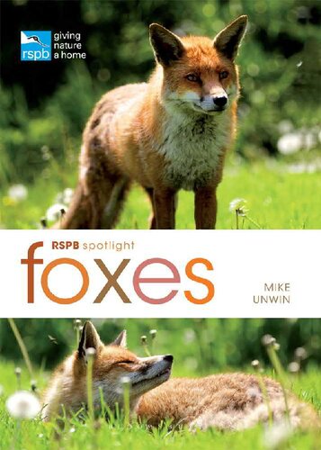 ﻿RSPB Spotlight: Foxes