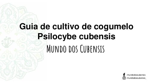 ﻿راهنمای پرورش قارچ Psilocybe Cubensis