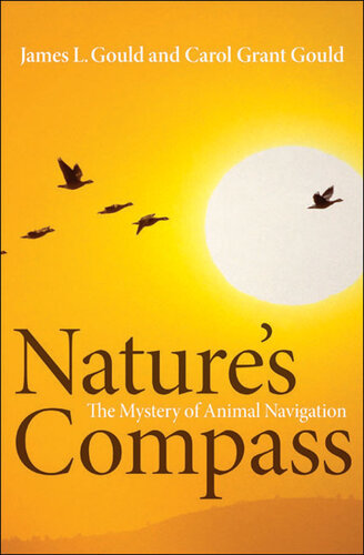 ﻿قطب نما طبیعت: راز ناوبری حیوانات