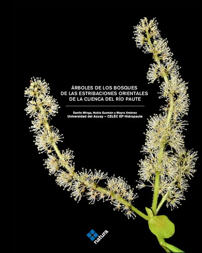 ﻿درختان جنگلی دامنه های شرقی حوضه رودخانه پاوت