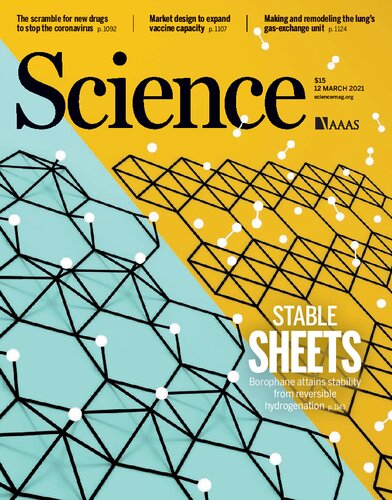 ﻿علوم پایه