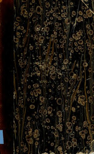 ﻿مطالعات آفریقای شرقی