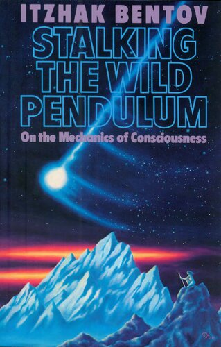 ﻿تعقیب آونگ وحشی - در مورد مکانیک آگاهی