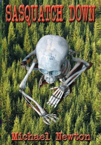 ﻿ساسکوچ پایین