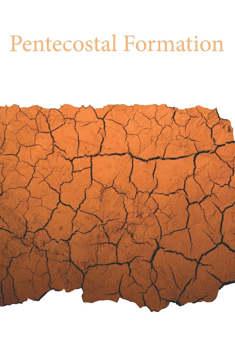 ﻿شکل گیری پنطیکاستی: آموزشی در میان ستمدیدگان (مجموعه مکمل الهیات پنطیکاستی)