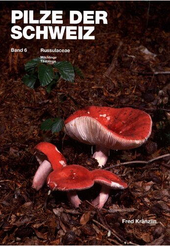 ﻿قارچ سوئیس