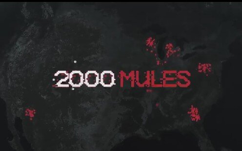 ﻿رونوشت مصور کامل فیلم 2000 mules