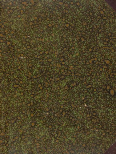 ﻿روحانیت لیوونیا از پایان قرن دوازدهم تا قرن شانزدهم: چاپ جداگانه از سالنامه برای نسب شناسی، هرالدریک و اسپراژیستیک، سال های 1900، 1901 و 1902