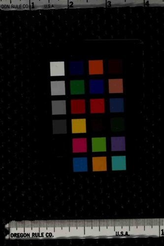 ﻿فروش فرزندان آمریکا: چگونه آمریکا سود را بر ارزش ها ترجیح می دهد و والدین چه کاری می توانند انجام دهند