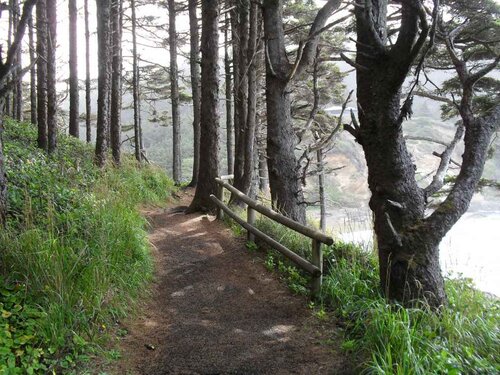 ﻿حقیقت علیه جهان