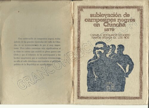 ﻿قیام دهقانان سیاه پوست در چینچا (ایکا)، 1879