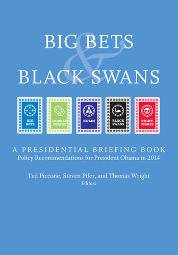 ﻿Big Bets and Black Swans 2014: کتاب توجیهی ریاست جمهوری
