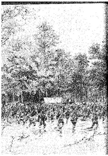 ﻿چرا جنوب در جنگ داخلی شکست خورد؟