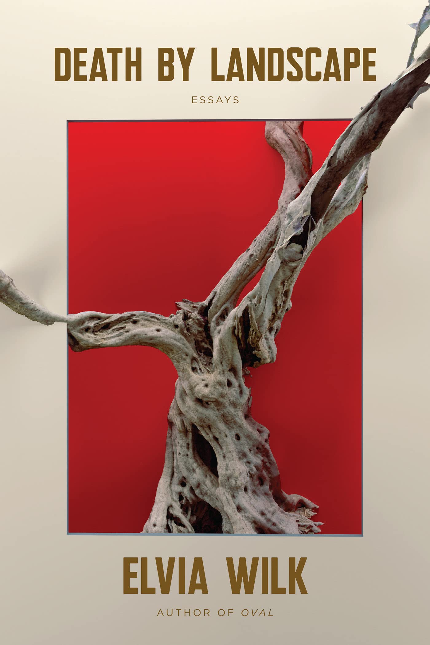 ﻿مرگ توسط منظره