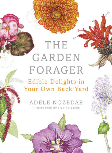 ﻿The Garden Forager: غذاهای خوراکی در حیاط پشتی شما