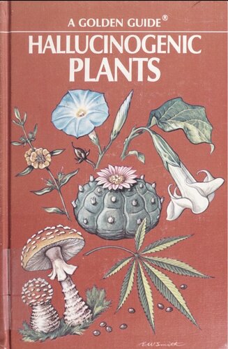 ﻿گیاهان توهم زا