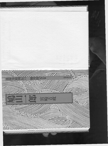 ﻿ایچیرو هاتویاما