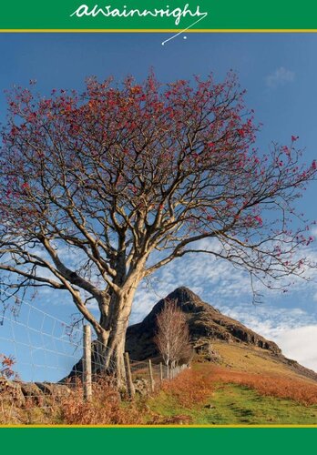 ﻿وسترن فلز