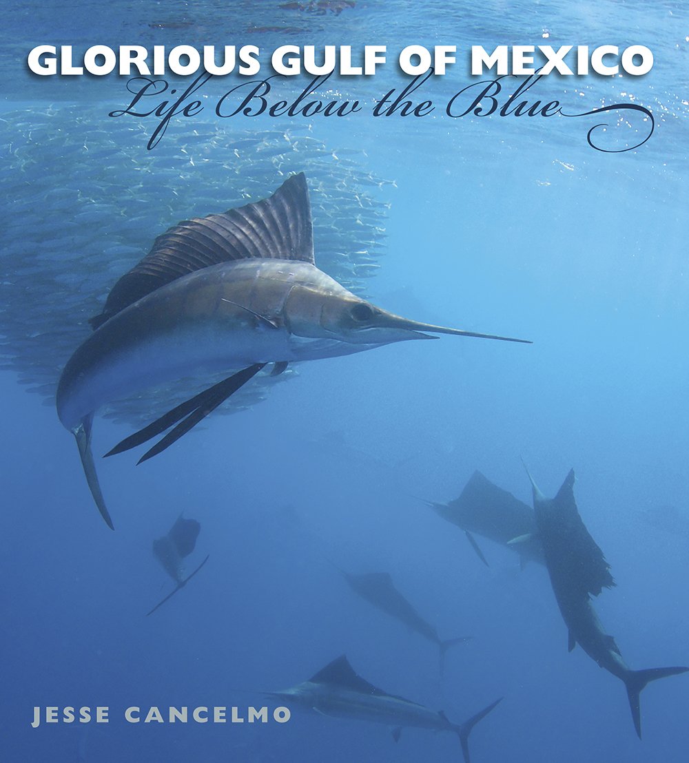 ﻿Glorious Gulf of Mexico: Life Below the Blue (جلد 28) (کتابهای ساحل خلیج فارس، با حمایت تگزاس A