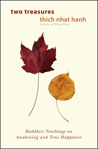 ﻿دو گنج: آموزه های بودایی در مورد بیداری و شادی واقعی